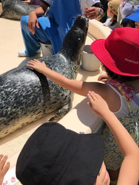 越前松島水族館に投稿された画像（2023/8/7）