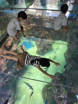 越前松島水族館に投稿された画像（2023/8/7）