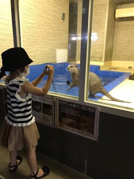 越前松島水族館に投稿された画像（2023/8/7）