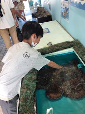 越前松島水族館に投稿された画像（2023/8/7）