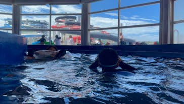 芝政ワールドに投稿された画像（2023/8/7）