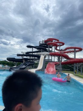 芝政ワールドに投稿された画像（2023/8/7）