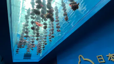 仙台うみの杜水族館に投稿された画像（2023/8/7）