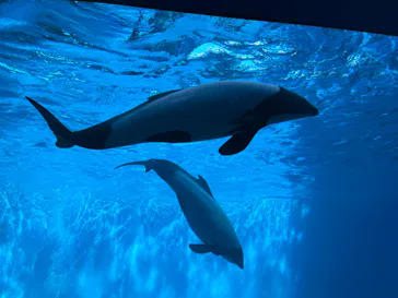 仙台うみの杜水族館に投稿された画像（2023/8/7）