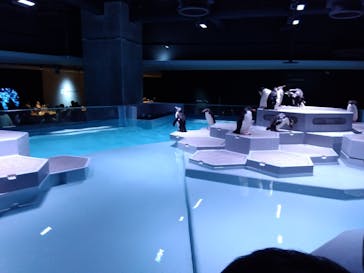 AOAO SAPPOROに投稿された画像（2023/8/7）