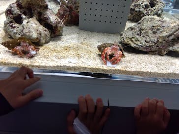 AOAO SAPPOROに投稿された画像（2023/8/7）