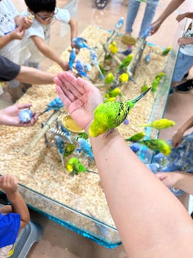 いきもの探検隊上尾に投稿された画像（2023/8/8）