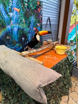 いきもの探検隊上尾に投稿された画像（2023/8/8）