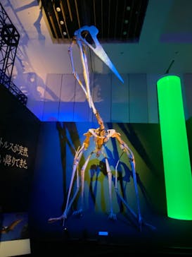DinoScience 恐竜科学博 2023@TOKYO MIDTOWNに投稿された画像（2023/8/8）