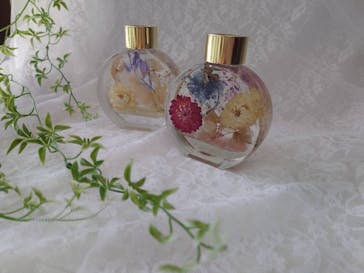 ずこうしつ〜sugamo〜に投稿された画像（2023/8/8）