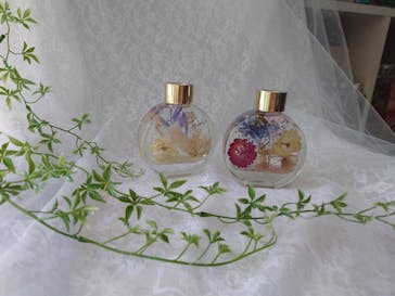 ずこうしつ〜sugamo〜に投稿された画像（2023/8/8）