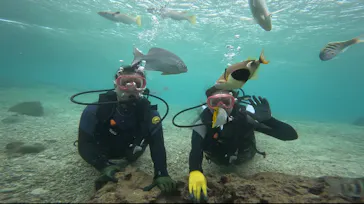 武藤潜水に投稿された画像（2023/8/8）
