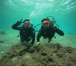 武藤潜水に投稿された画像（2023/8/8）