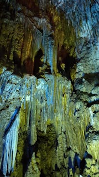 あぶくま洞に投稿された画像（2023/8/8）