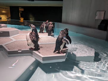 AOAO SAPPOROに投稿された画像（2023/8/8）