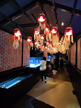 すみだ水族館に投稿された画像（2023/8/8）