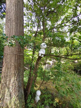 加賀 伝統工芸村　ゆのくにの森に投稿された画像（2023/8/8）