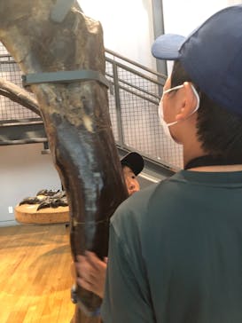 福井県立恐竜博物館に投稿された画像（2023/8/8）