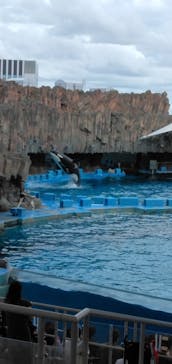 名古屋港水族館に投稿された画像（2023/8/8）