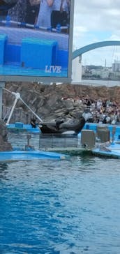 名古屋港水族館に投稿された画像（2023/8/8）