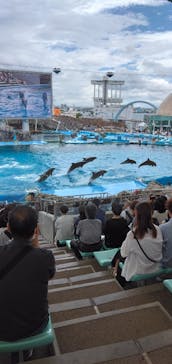 名古屋港水族館に投稿された画像（2023/8/8）