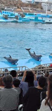 名古屋港水族館に投稿された画像（2023/8/8）