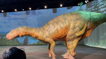 福井県立恐竜博物館に投稿された画像（2023/8/8）