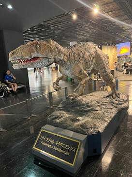 福井県立恐竜博物館に投稿された画像（2023/8/8）