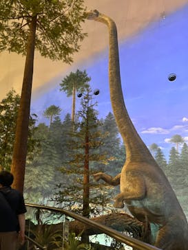 福井県立恐竜博物館に投稿された画像（2023/8/8）