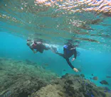 武藤潜水に投稿された画像（2023/8/8）