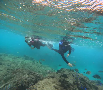 武藤潜水に投稿された画像（2023/8/8）