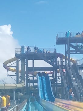 蓮沼ウォーターガーデンに投稿された画像（2023/8/8）