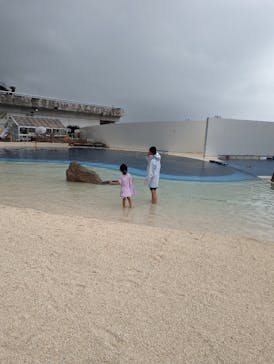 大分マリーンパレス水族館 「うみたまご」に投稿された画像（2023/8/8）