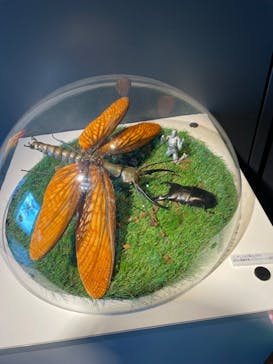 昆虫最強王図鑑展に投稿された画像（2023/8/8）
