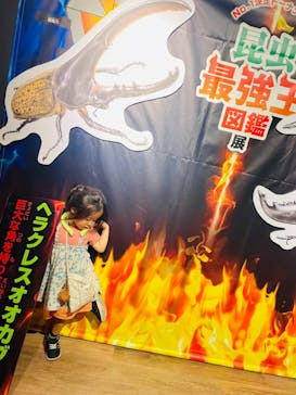 昆虫最強王図鑑展に投稿された画像（2023/8/8）