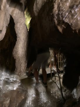 あぶくま洞に投稿された画像（2023/8/8）