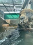 東武動物公園に投稿された画像（2023/8/8）