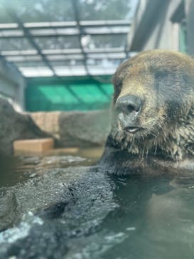 東武動物公園に投稿された画像（2023/8/8）