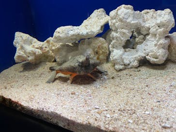 サンシャイン水族館に投稿された画像（2023/8/8）