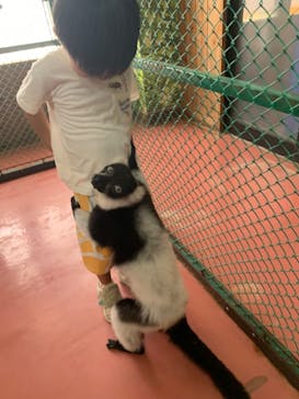 那須ワールドモンキーパークに投稿された画像（2023/8/8）