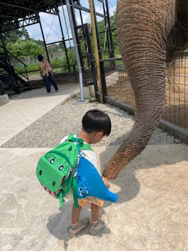 那須ワールドモンキーパークに投稿された画像（2023/8/8）