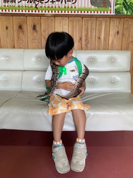 那須ワールドモンキーパークに投稿された画像（2023/8/8）