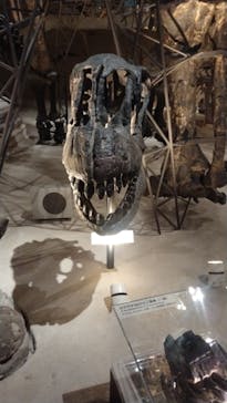 国立科学博物館に投稿された画像（2023/8/8）