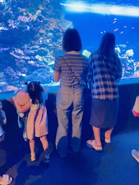 サンシャイン水族館に投稿された画像（2023/8/8）