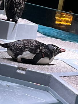 AOAO SAPPOROに投稿された画像（2023/8/8）