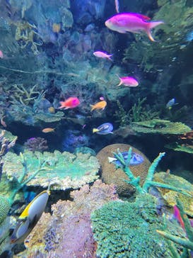 サンシャイン水族館に投稿された画像（2023/8/8）