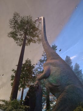 福井県立恐竜博物館に投稿された画像（2023/8/8）