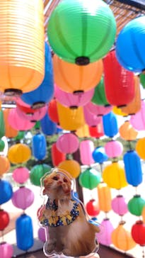 西武園ゆうえんちに投稿された画像（2023/8/8）