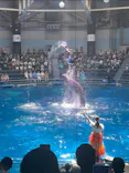 マクセル アクアパーク品川に投稿された画像（2023/8/8）