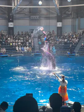 マクセル アクアパーク品川に投稿された画像（2023/8/8）